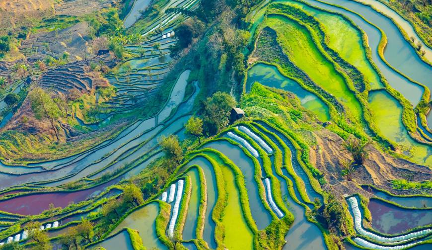 宝妈必备神器：朝阳区产品视频拍摄轻松育儿好帮手